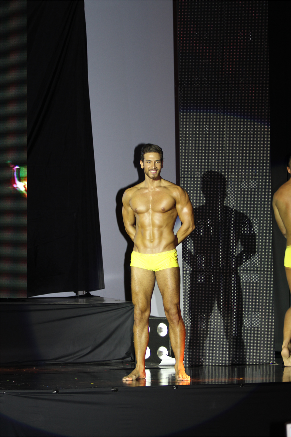 Mr. Lebanon is Mr. International